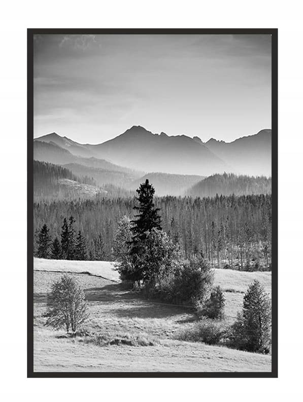POSTER I RAM 53x73 cm Berg P1382