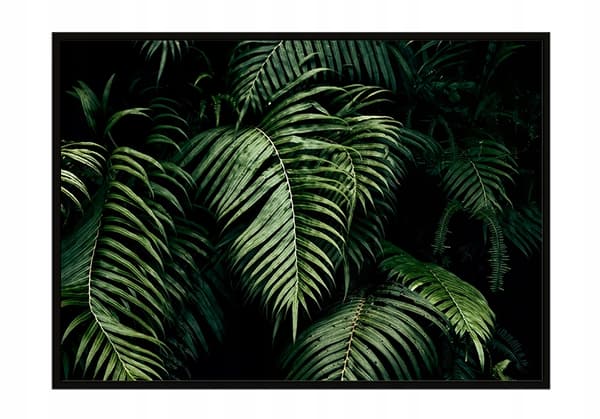 POSTER I RAM 53x73 cm Löv P1213