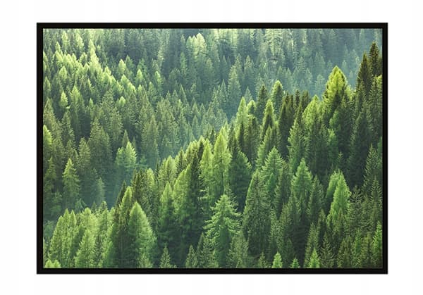 KUVAPUOLISTE KEHYISSÄ 53x73 cm Metsä P1209