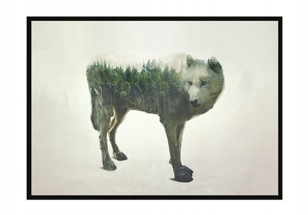 KUVAPUOLISTE KEHYISSÄ 43x33 cm Wolf P1201