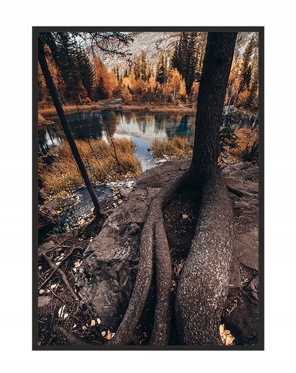 TAVELAFFIST I RAM 53x73 cm Lake P1172