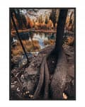 Miniatyrbild 1 av 4: TAVELAFFIST I RAM 53x73 cm Lake P1172