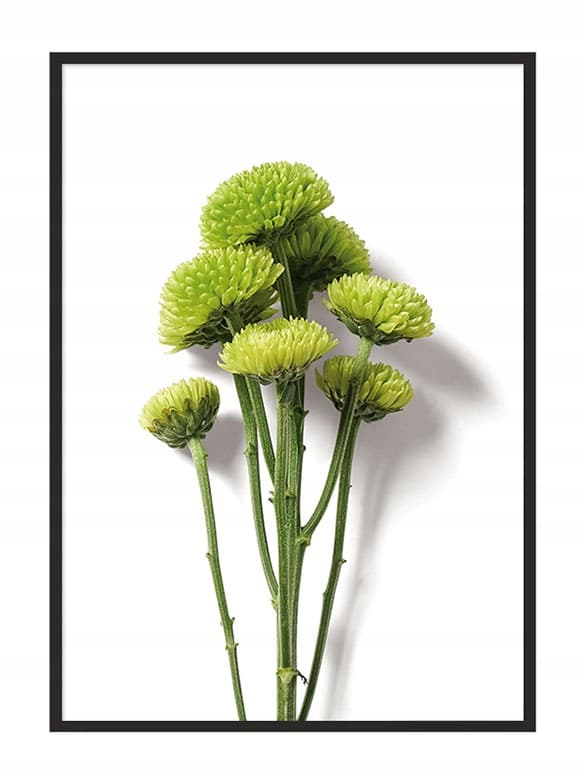 TAVELAFFIST I RAM 33x43 cm Blomma P882
