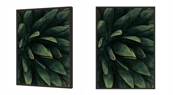 BILLEDPOKATER I RAMME 53x73 cm Blade P845