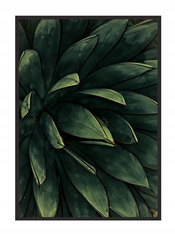 BILLEDPOKATER I RAMME 53x73 cm Blade P845