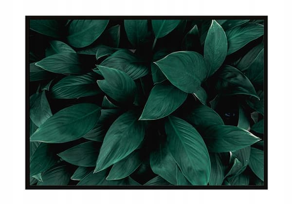 KUVAPOSTERI KEHYISSÄ 73x53 cm Lehdet P1122