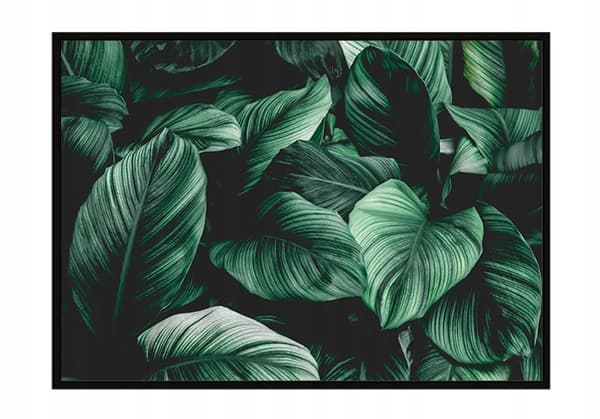 KUVAPOSTERI KEHYISSÄ 73x53 cm Lehdet P1121