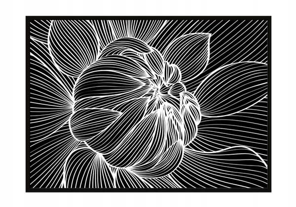 BILLEDPOKATER I RAMME 53x73 cm Blomst P1059