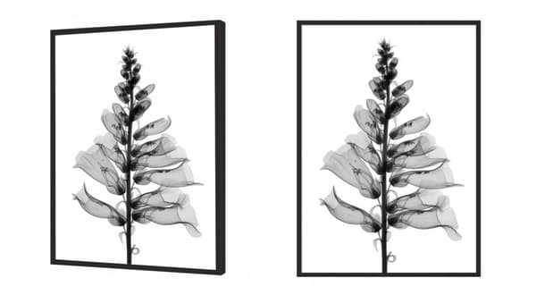 KUVAPUOLISTE KEHYISSÄ 53x73 cm Kukka P1032