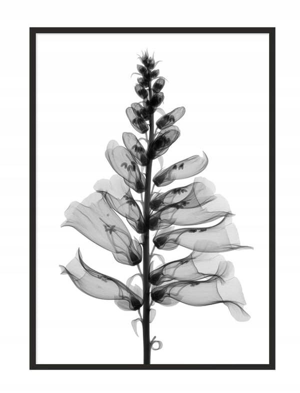 KUVAPUOLISTE KEHYISSÄ 53x73 cm Kukka P1032