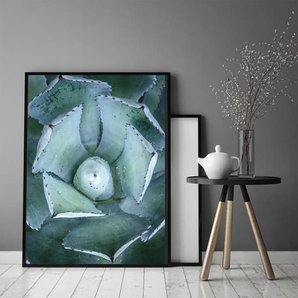 KUVAPOSTERI KEHYISSÄ 53x73 cm Lehdet P1034