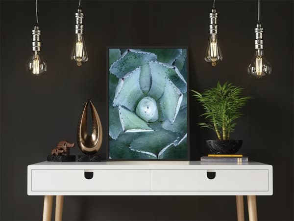 KUVAPOSTERI KEHYISSÄ 53x73 cm Lehdet P1034
