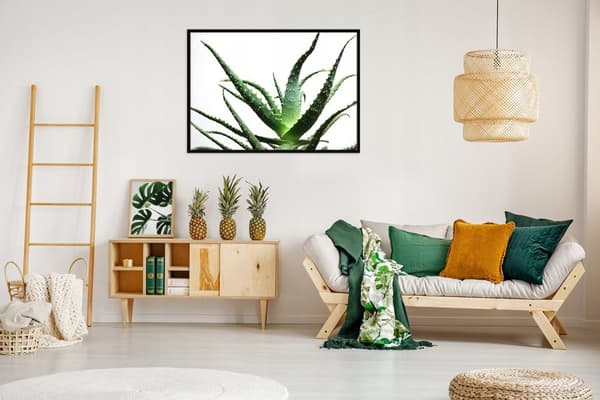 KUVAPUOLISTE KEHYISSÄ 53x73 cm Kukka P1045