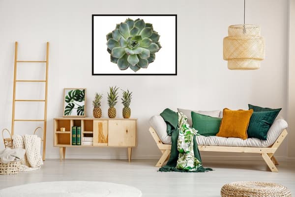 BILLEDPOKATER I RAMME 53x73 cm Blomst P1049
