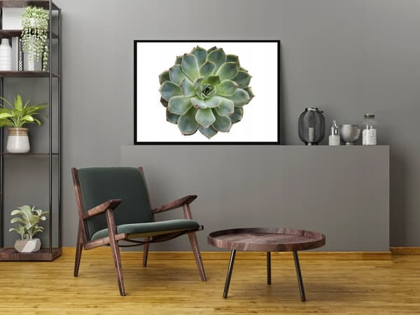 BILLEDPOKATER I RAMME 53x73 cm Blomst P1049