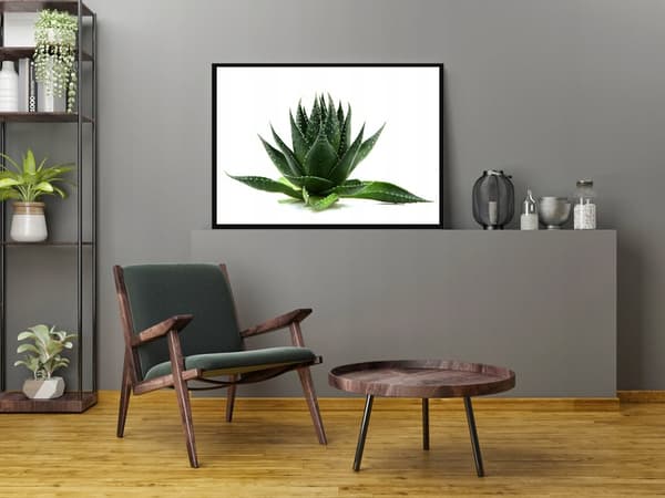 KUVAPOSTERI KEHYISSÄ 53x73 cm Lehdet P1056