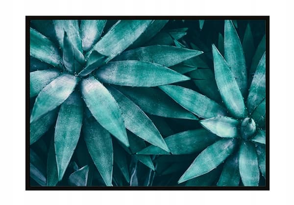 BILLEDPOKATER I RAMME 53x73 cm Blade P1118