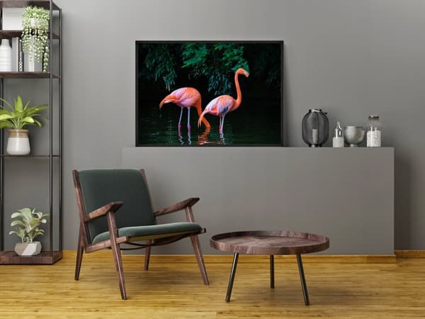 KUVAPUOLISTE KEHYISSÄ 53x73 cm Flamingot P950
