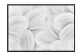 Pikkukuva 1 / 3: KUVAPUOLISTE KEHYISSÄ 53x73 cm Petals P938