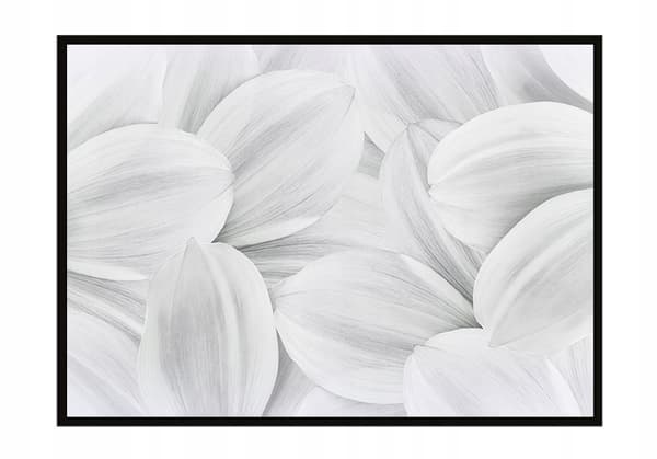 KUVAPUOLISTE KEHYISSÄ 53x73 cm Petals P938