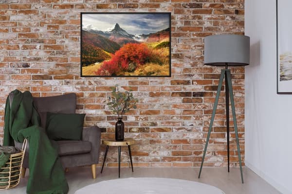 KUVAPUOLISTE KEHYISSÄ 53x73 cm Sveitsi P937