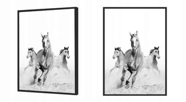 KUVAPUOLISTE KEHYISSÄ 53x73 cm Hevoset P927