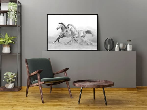 KUVAPOSTERI KEHYISSÄ 53x73 cm Hevoset P904