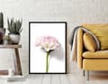 Miniatyrbillede 4 af 4: BILLEDPOKATER I RAMME 53x73 cm Blomst P880