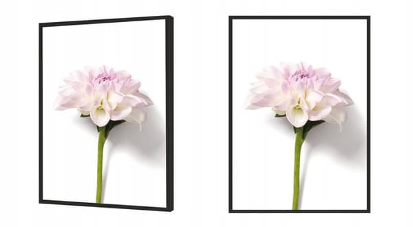 BILLEDPOKATER I RAMME 53x73 cm Blomst P880