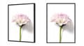 Miniatyrbillede 2 af 4: BILLEDPOKATER I RAMME 53x73 cm Blomst P880