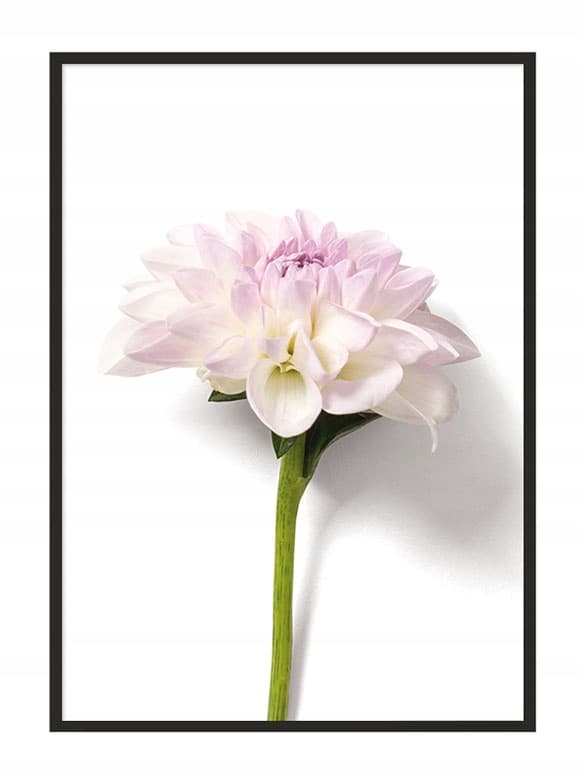BILLEDPOKATER I RAMME 53x73 cm Blomst P880