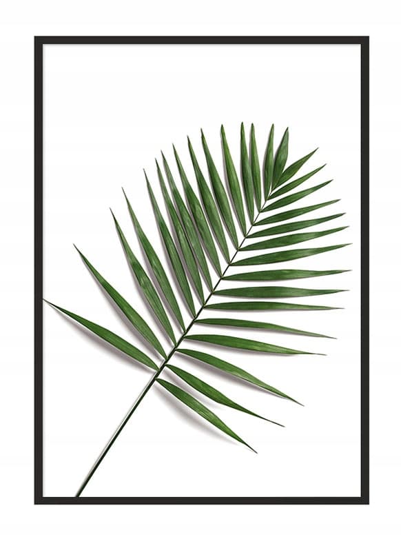 KUVAPUOLISTE KEHYISSÄ 53x73 cm Lehti P876