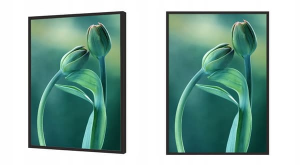 KUVAPUOLISTE KEHYISSÄ 53x73 cm Tulip P852