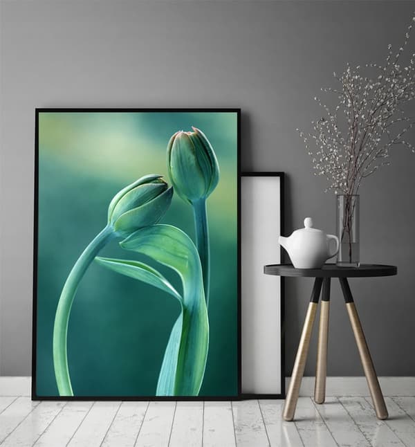 KUVAPOSTERI KEHYISSÄ 33x43 cm Tulip P852