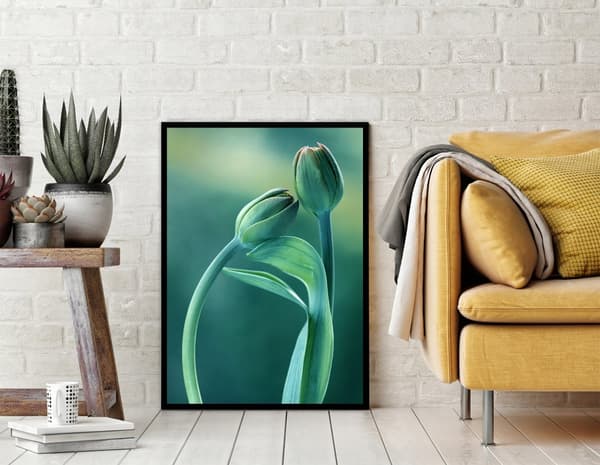 KUVAPOSTERI KEHYISSÄ 33x43 cm Tulip P852