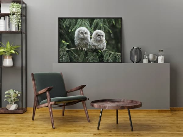 KUVAPUOLISTE KEHYISSÄ 53x73 cm Pöllöt P797