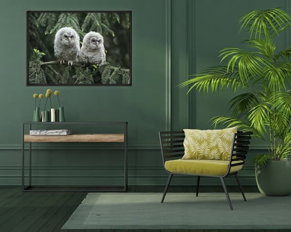 KUVAPUOLISTE KEHYISSÄ 53x73 cm Pöllöt P797