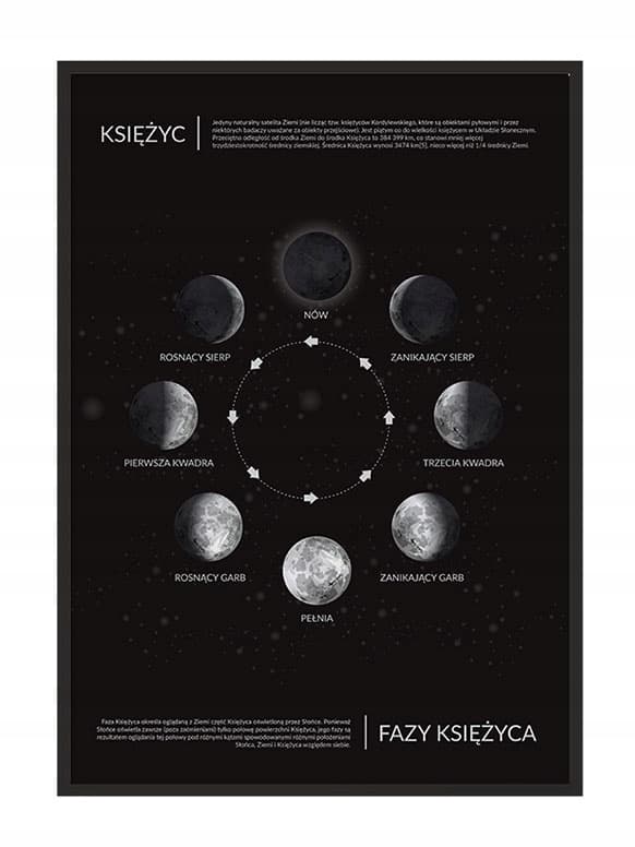 POSTER I RAM 33x43 cm Månfaser P785