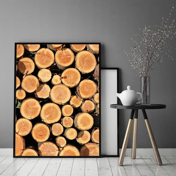 KUVAPUOLISTE KEHYISSÄ 53x73 cm Puu P776