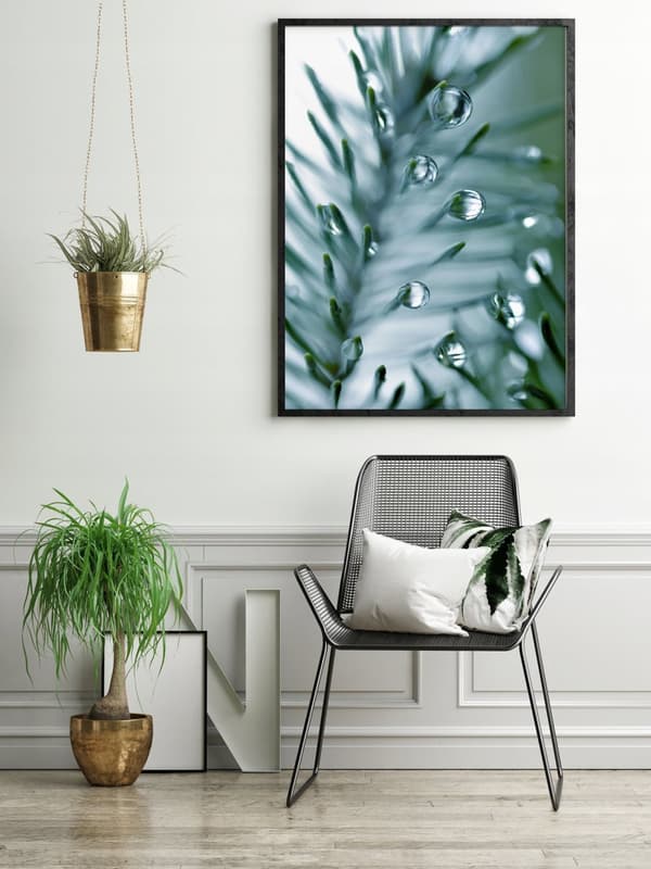 BILLEDPOKATER I RAMME 53x73 cm Rosa Pion P683
