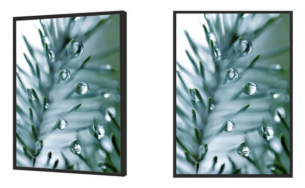 BILLEDPOKATER I RAMME 53x73 cm Rosa Pion P683