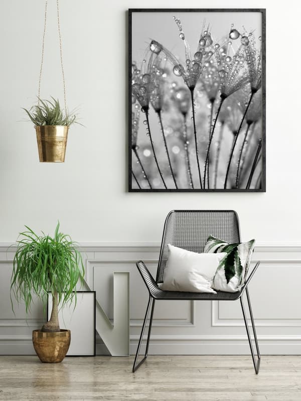 KUVAPUOLISTE KEHYISSÄ 53x73 cm Rosa Pion P675