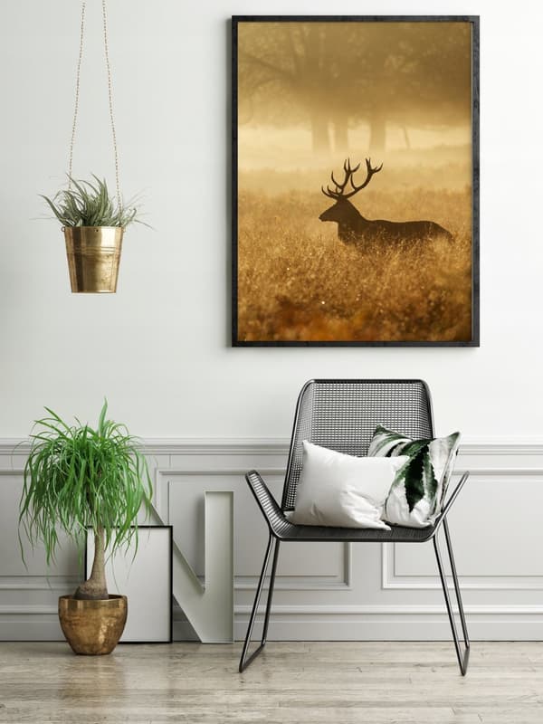 KUVAPOSTERI KEHYISSÄ 53x73 cm Kultainen peura Pio P661