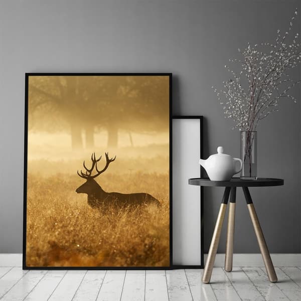 KUVAPOSTERI KEHYISSÄ 53x73 cm Kultainen peura Pio P661