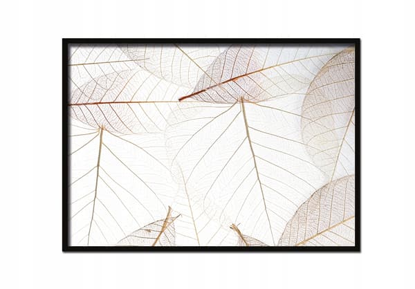 KUVAPOSTERI KEHYISSÄ 53x73 cm Kultaiset lehdet P634