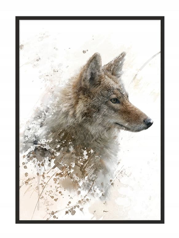 KUVAPOSTERI KEHYISSÄ 43x33 cm Susi P704