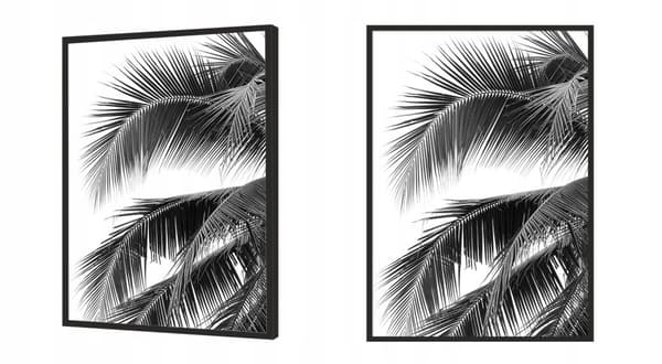 POSTER I RAM 43x33 cm Palm P689