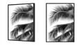 Miniatyrbild 2 av 4: POSTER I RAM 43x33 cm Palm P689