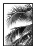 Miniatyrbild 1 av 4: POSTER I RAM 43x33 cm Palm P689