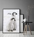 Miniatyrbild 3 av 4: POSTER I RAM 43x33 cm Pingviner P688